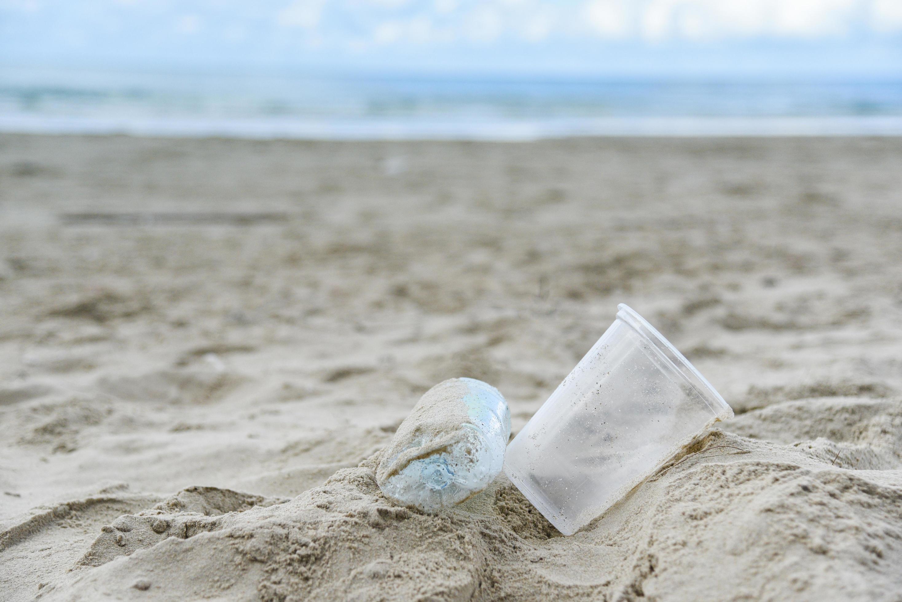 a discarded plastic cup sits on a beach