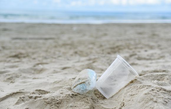 a discarded plastic cup sits on a beach